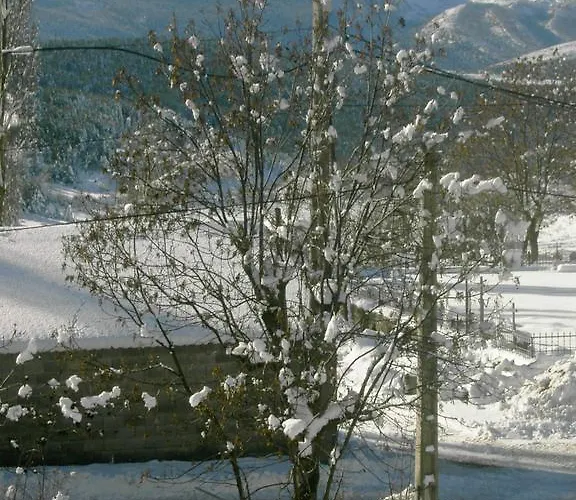 Casa Francho Pensionat