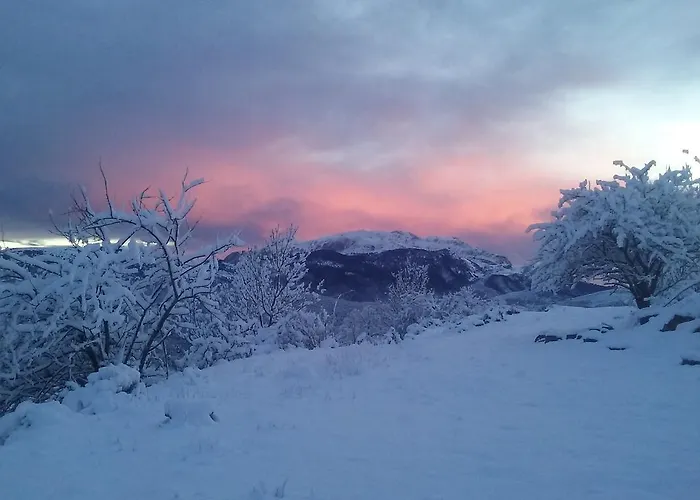 Casa Francho Pensionat